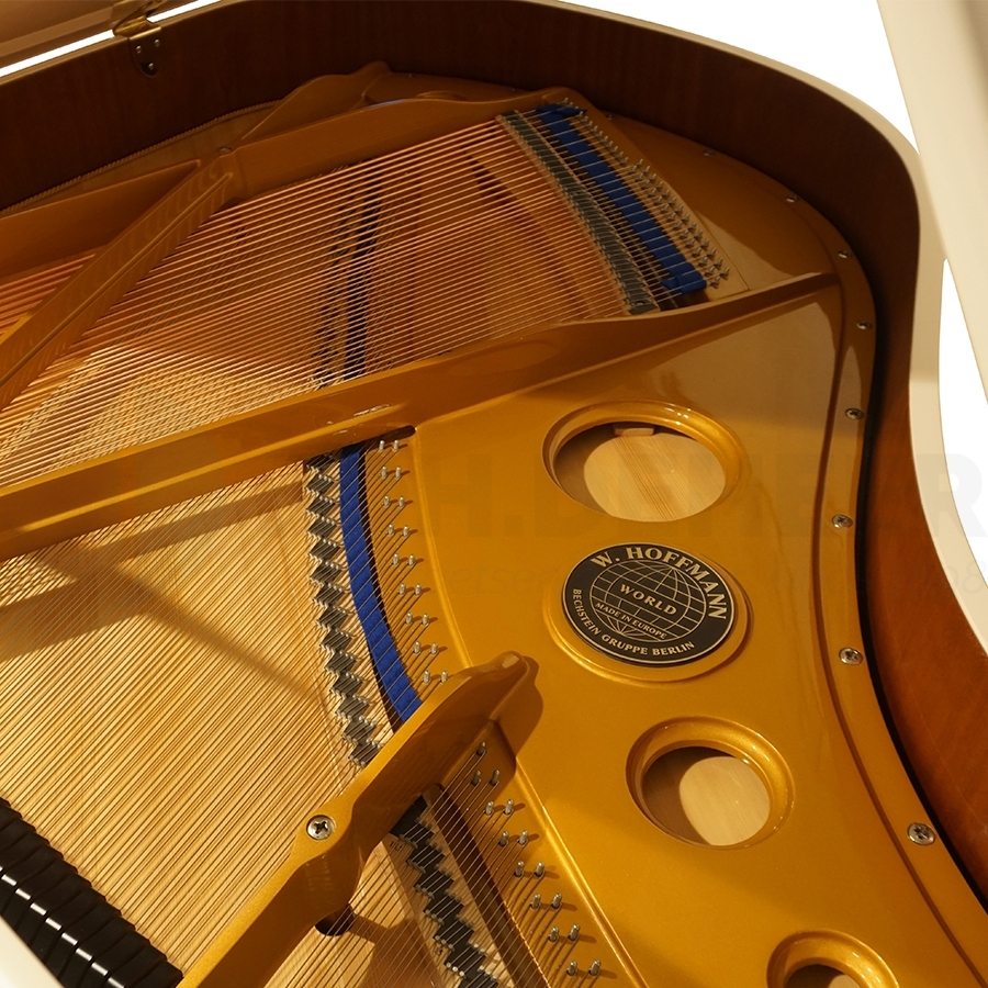 Restauratie of revisie van piano of vleugel - w